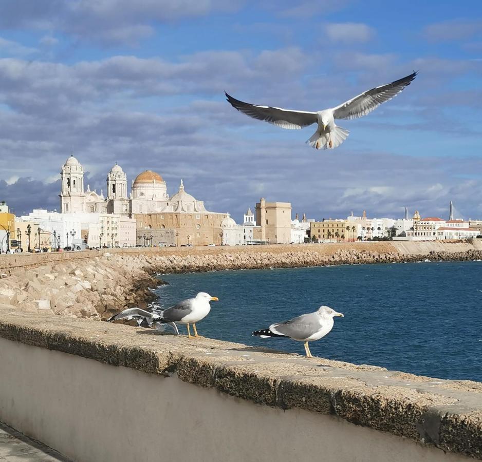 Apartamento Suite Caleta كاديز المظهر الخارجي الصورة